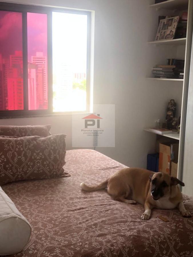 Apartamento à venda com 3 quartos, 80m² - Foto 7