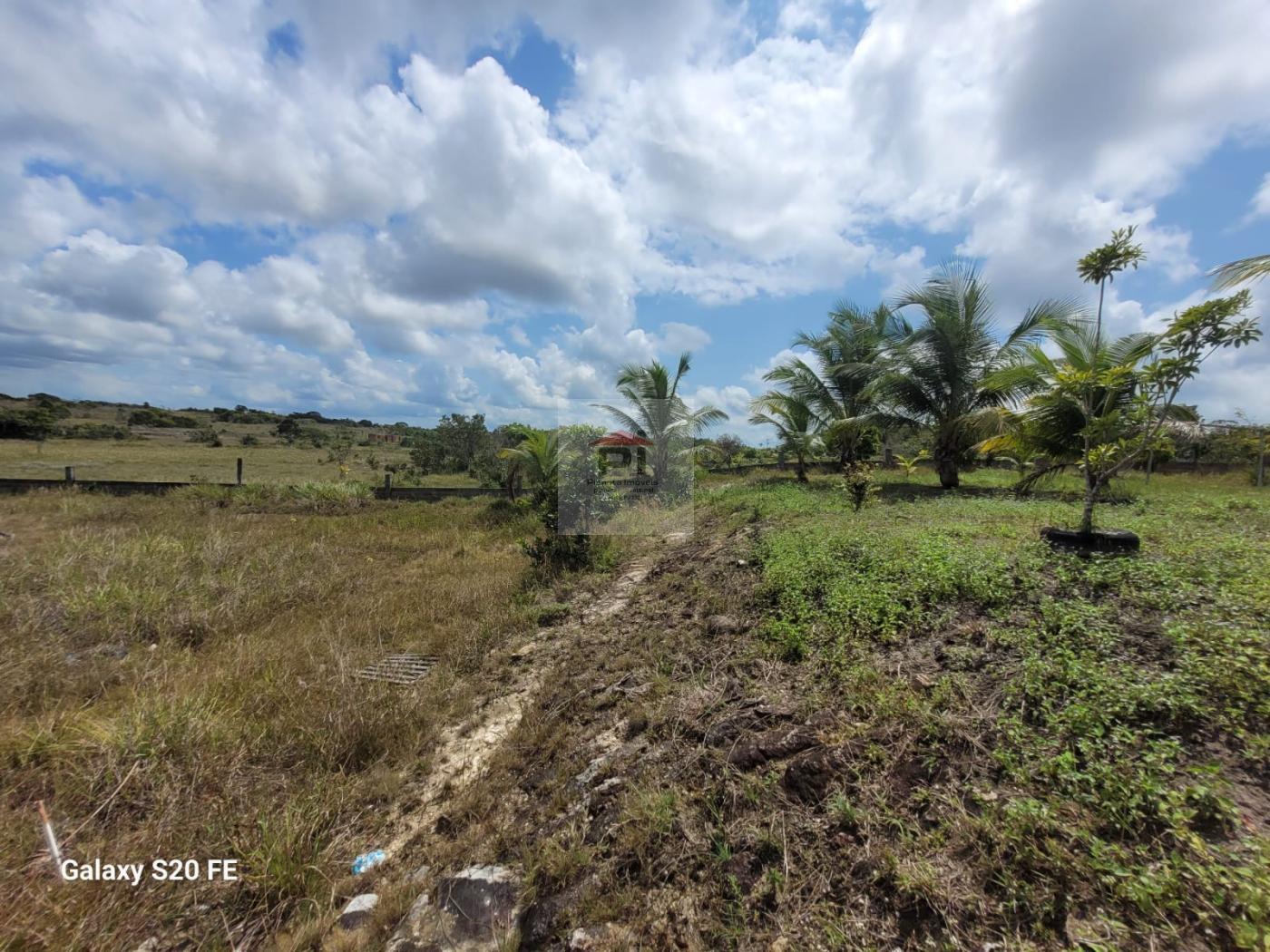 Chácara à venda com 2 quartos, 43000m² - Foto 18