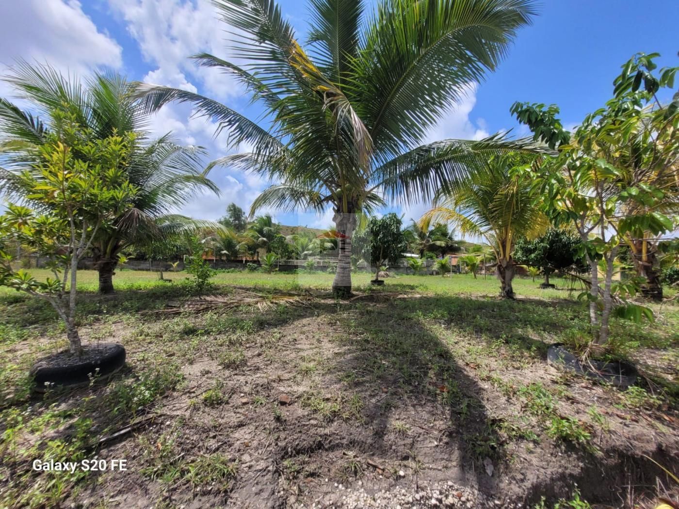 Chácara à venda com 2 quartos, 43000m² - Foto 19