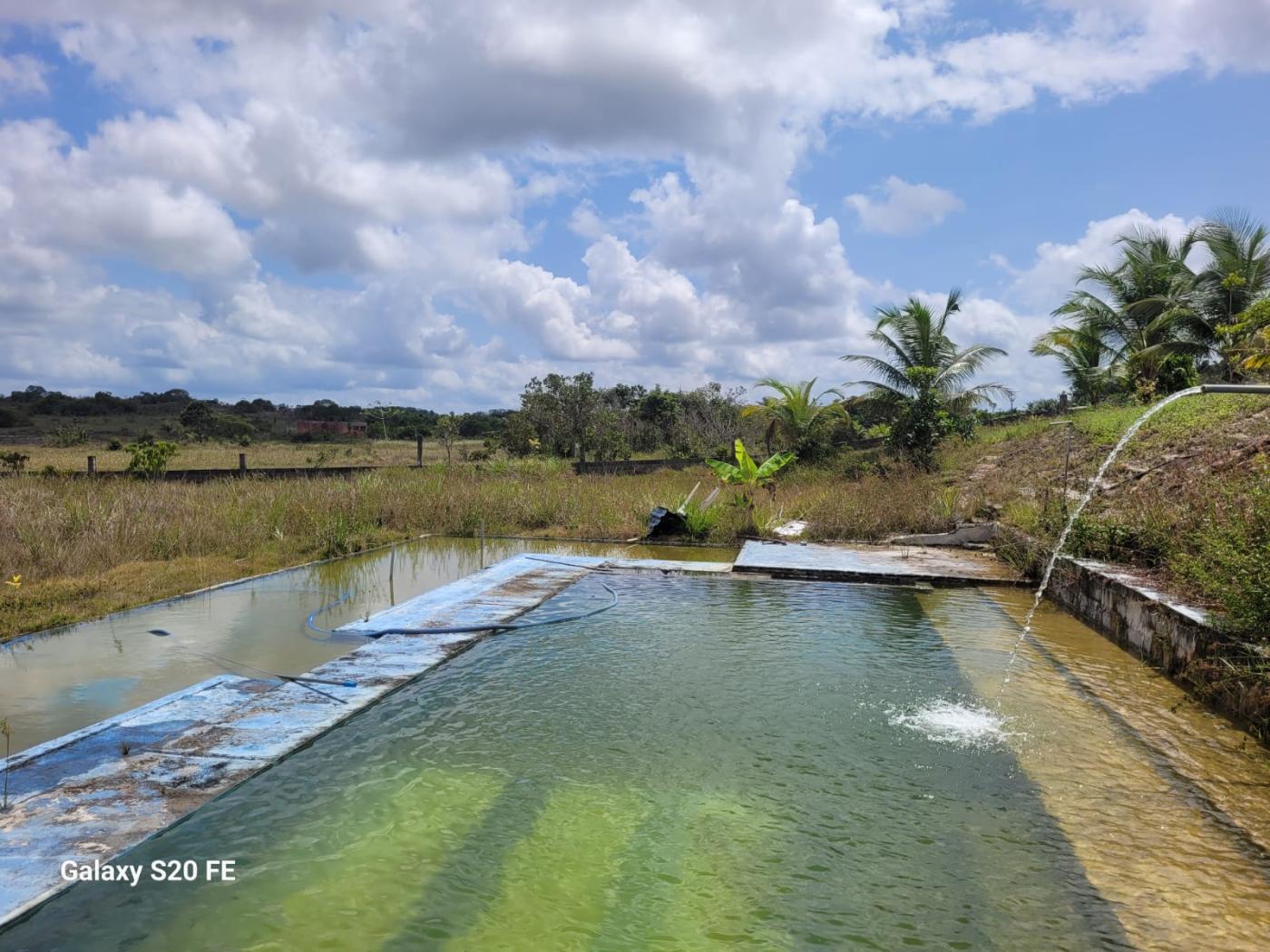 Chácara à venda com 2 quartos, 43000m² - Foto 32