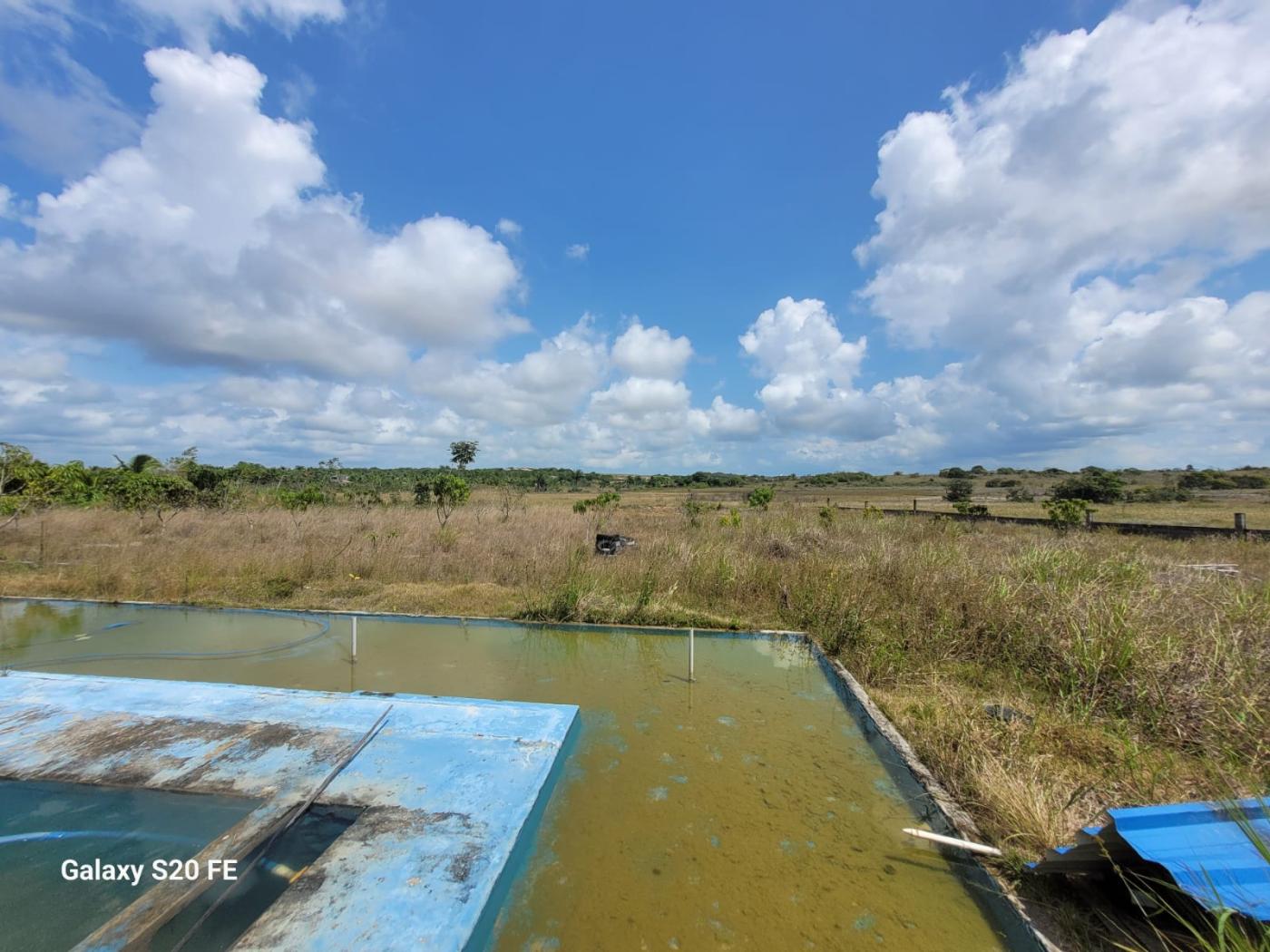 Chácara à venda com 2 quartos, 43000m² - Foto 33