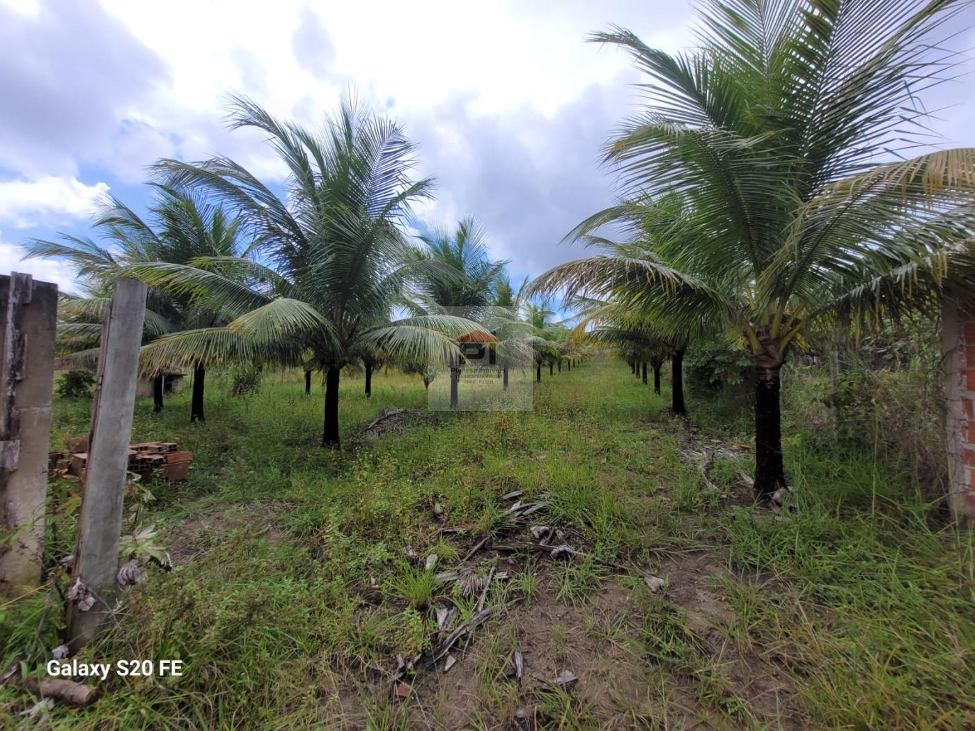 Terreno à venda, 4000m² - Foto 1