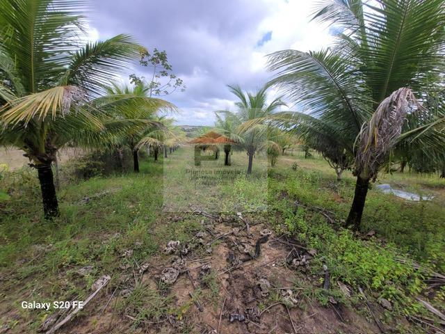 Terreno à venda, 4000m² - Foto 4