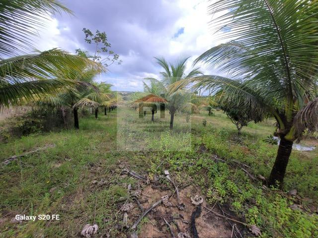 Terreno à venda, 4000m² - Foto 5