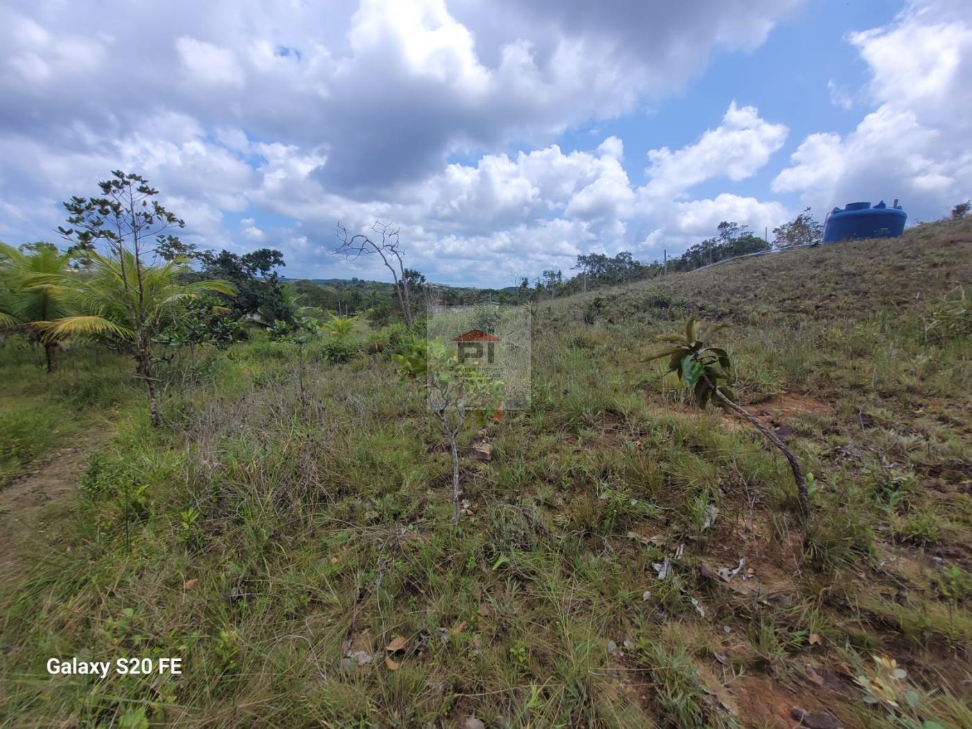 Terreno à venda, 4000m² - Foto 3