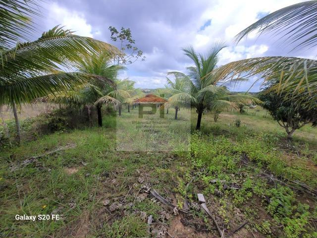 Terreno à venda, 4000m² - Foto 8