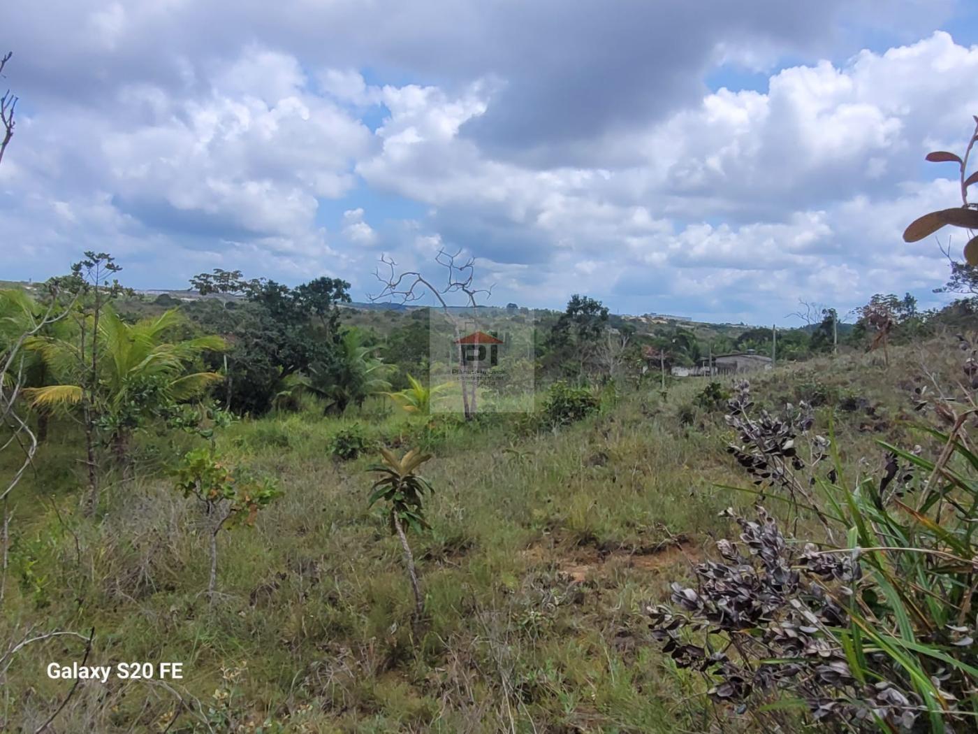 Terreno à venda, 4000m² - Foto 7